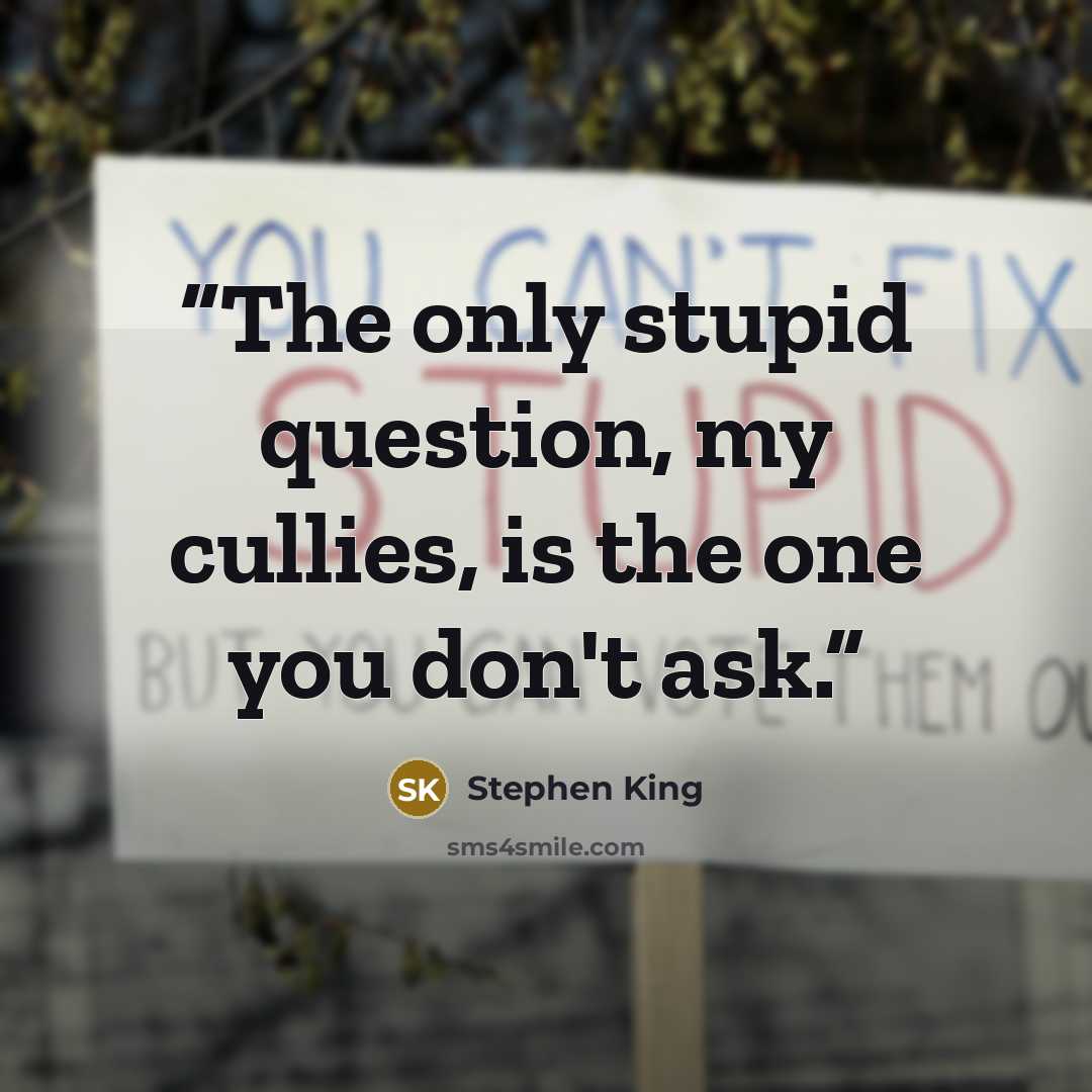 “The only stupid question, my cullies, is the one you don't ask.” quote by Stephen King