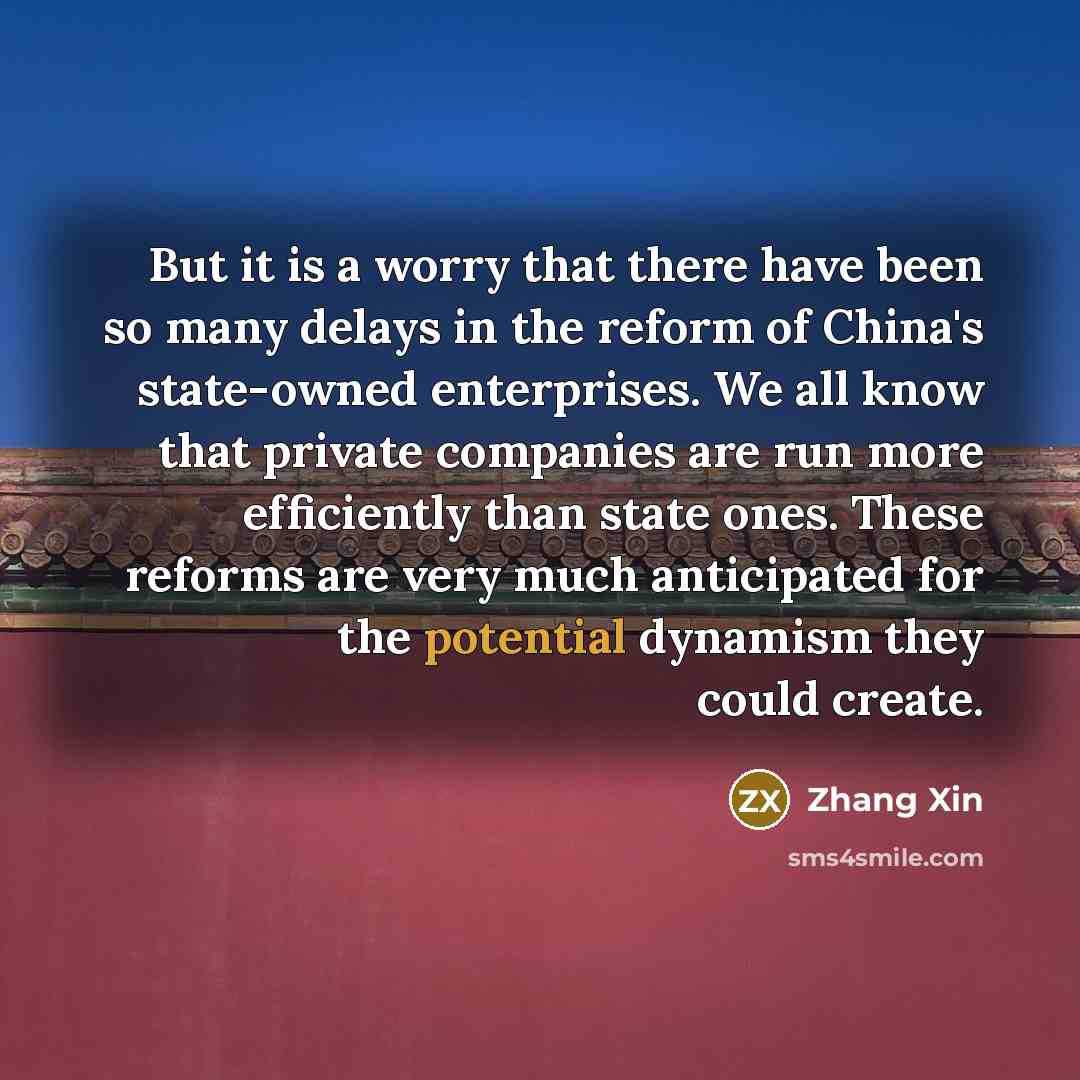 “But it is a worry that there have been so many delays in the reform of China's state-owned enterprises. We all know that private companies are run more efficiently than state ones. These reforms are very much anticipated for the potential dynamism they could create.” quote by Zhang Xin