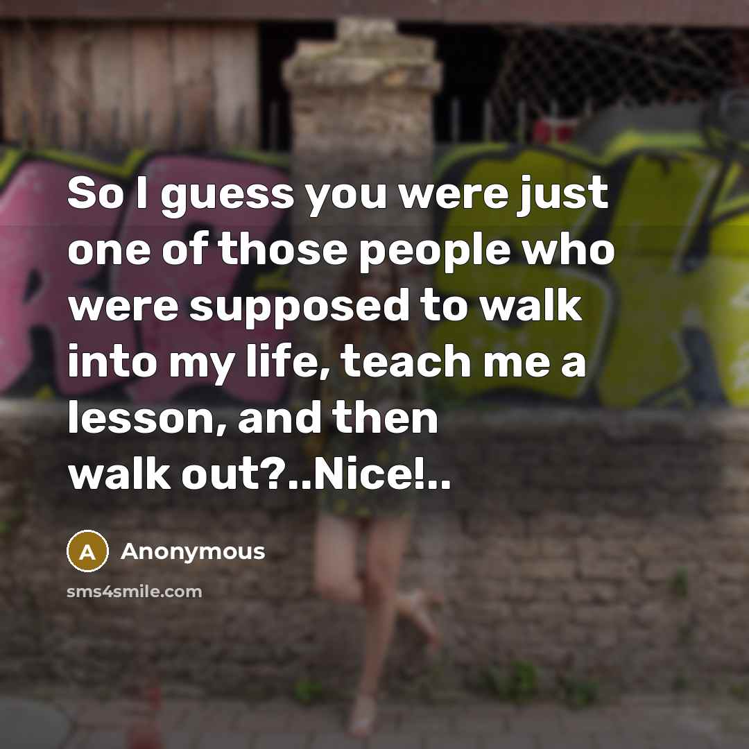 “So I guess you were just one of those people who were supposed to walk into my life, teach me a lesson, and then walk out?..Nice!..” quote by Anonymous
