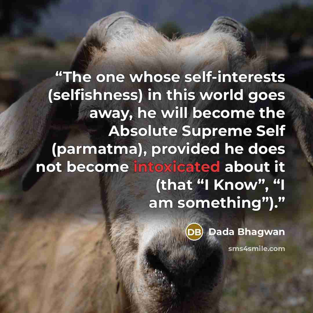“The one whose self-interests (selfishness) in this world goes away, he will become the Absolute Supreme Self (parmatma), provided he does not become intoxicated about it (that “I Know”, “I am something”).” quote by Dada Bhagwan