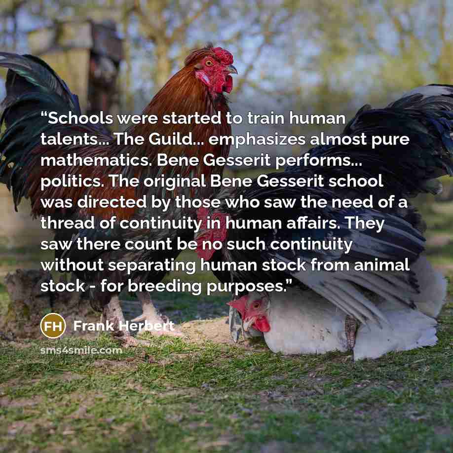 “Schools were started to train human talents... The Guild... emphasizes almost pure mathematics. Bene Gesserit performs... politics. The original Bene Gesserit school was directed by those who saw the need of a thread of continuity in human affairs. They saw there count be no such continuity…” quote by Frank Herbert