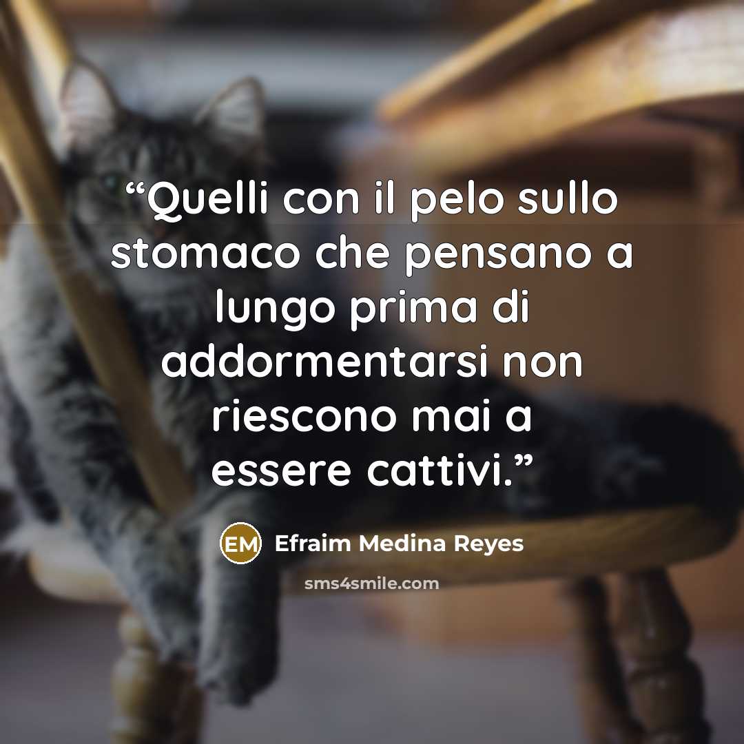 “Quelli con il pelo sullo stomaco che pensano a lungo prima di addormentarsi non riescono mai a essere cattivi.” quote by Efraim Medina Reyes