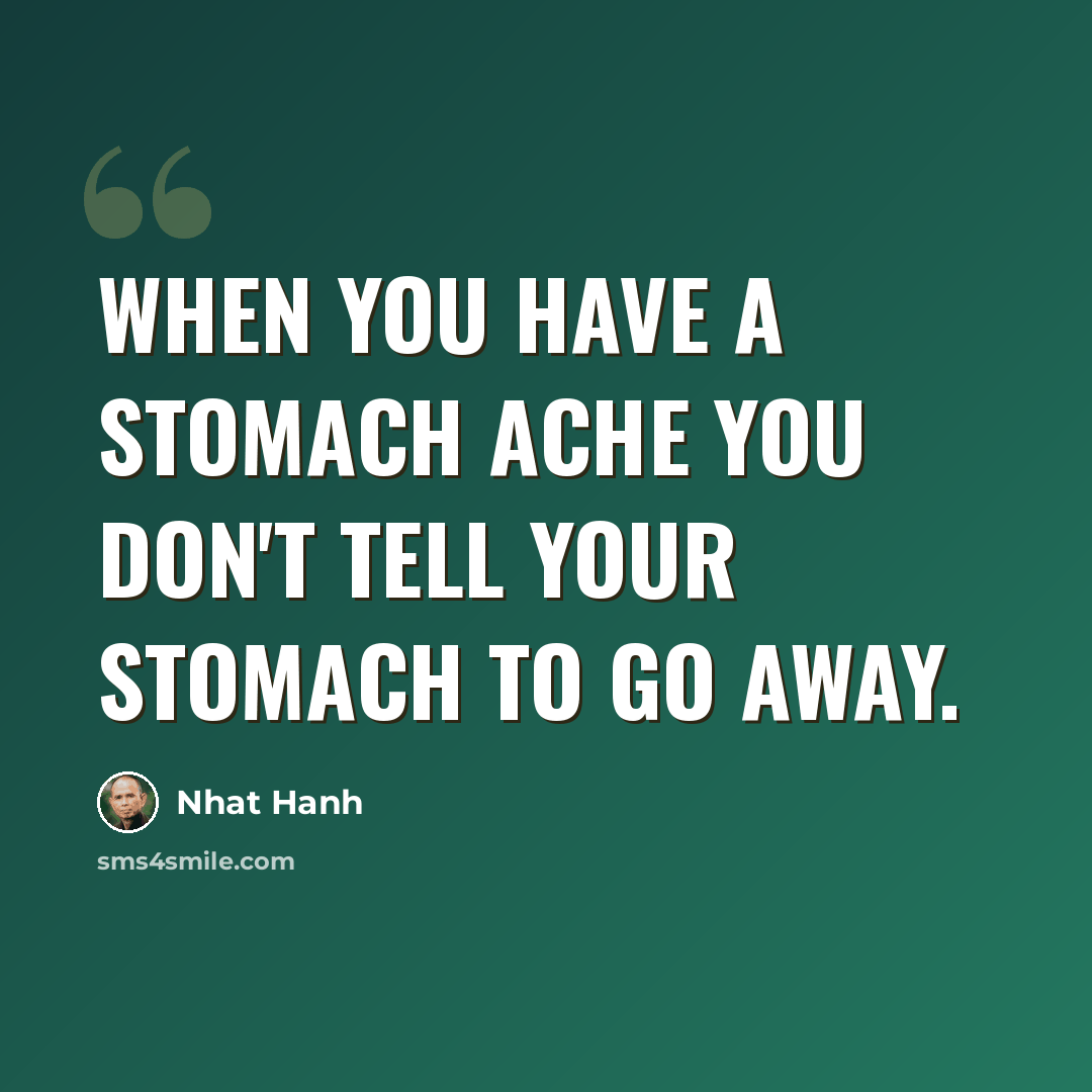 “When you have a stomach ache you don't tell your stomach to go away.” quote by Nhat Hanh