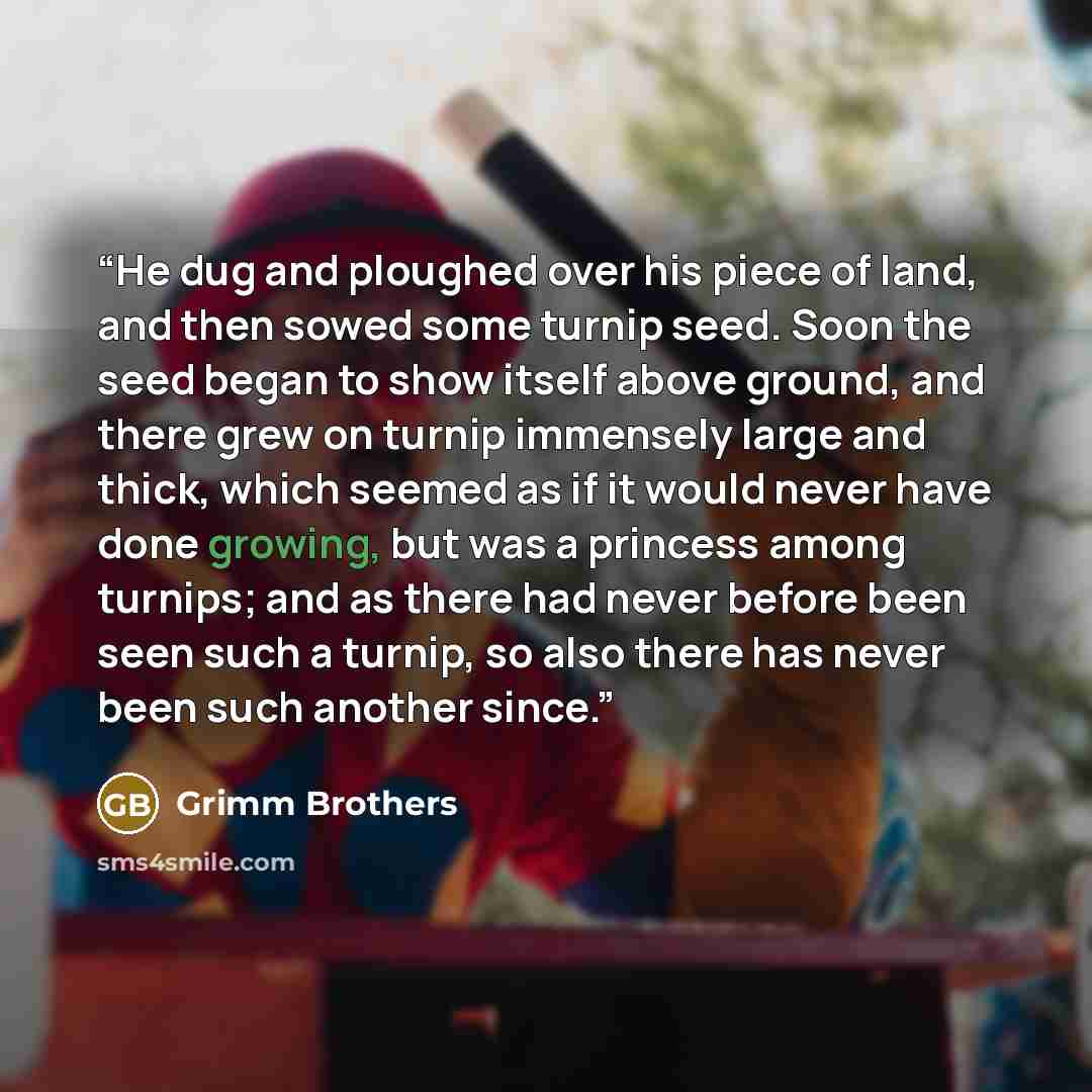 “He dug and ploughed over his piece of land, and then sowed some turnip seed. Soon the seed began to show itself above ground, and there grew on turnip immensely large and thick, which seemed as if it would never have done growing, but was a princess among turnips; and as there had never before…” quote by Grimm Brothers