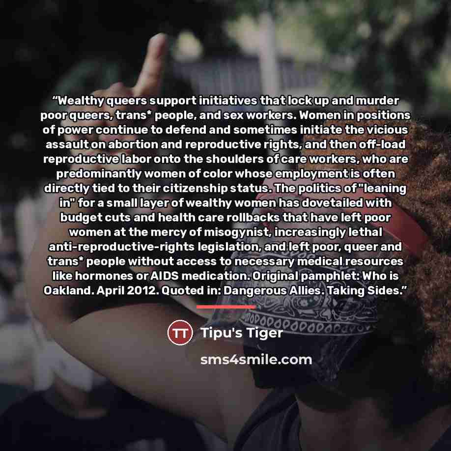 “Wealthy queers support initiatives that lock up and murder poor queers, trans* people, and sex workers. Women in positions of power continue to defend and sometimes initiate the vicious assault on abortion and reproductive rights, and then off-load reproductive labor onto the shoulders of care…” quote by Tipu's Tiger