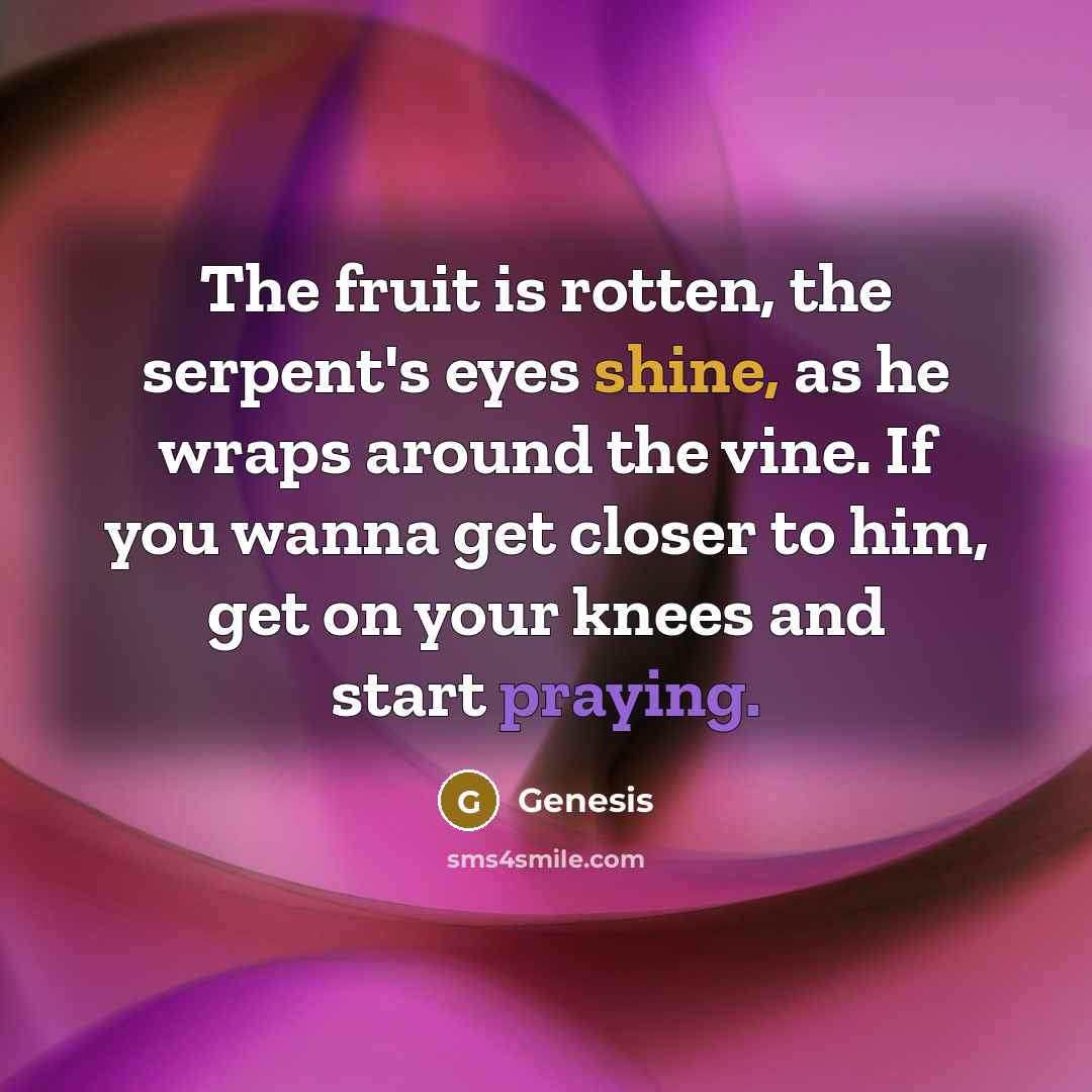 “The fruit is rotten, the serpent's eyes shine, as he wraps around the vine. If you wanna get closer to him, get on your knees and start praying.” quote by Genesis