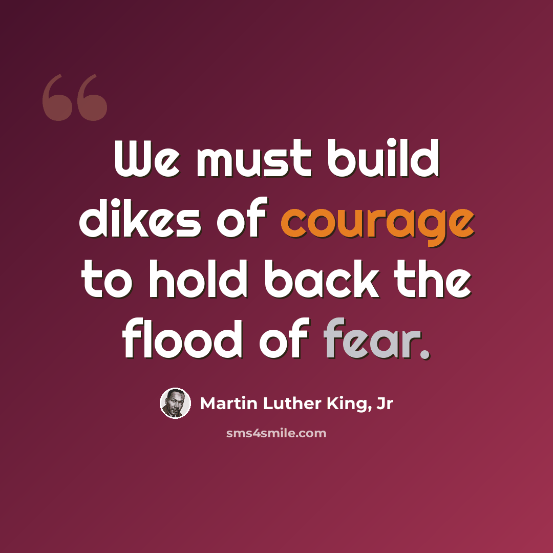 “We must build dikes of courage to hold back the flood of fear.” quote by Martin Luther King, Jr