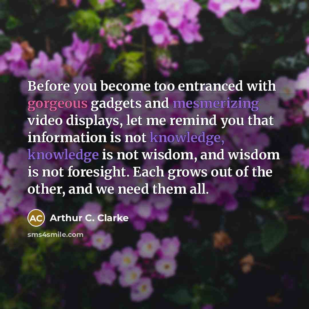 “Before you become too entranced with gorgeous gadgets and mesmerizing video displays, let me remind you that information is not knowledge, knowledge is not wisdom, and wisdom is not foresight. Each grows out of the other, and we need them all.” quote by Arthur C. Clarke