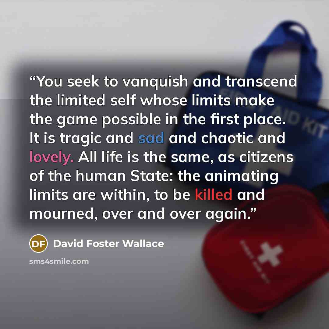 “You seek to vanquish and transcend the limited self whose limits make the game possible in the first place. It is tragic and sad and chaotic and lovely. All life is the same, as citizens of the human State: the animating limits are within, to be killed and mourned, over and over again.” quote by David Foster Wallace