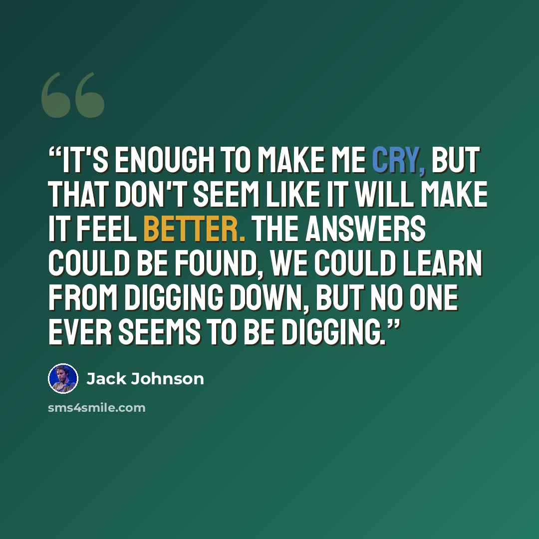 “It's enough to make me cry, but that don't seem like it will make it feel better. The answers could be found, we could learn from digging down, but no one ever seems to be digging.” quote by Jack Johnson