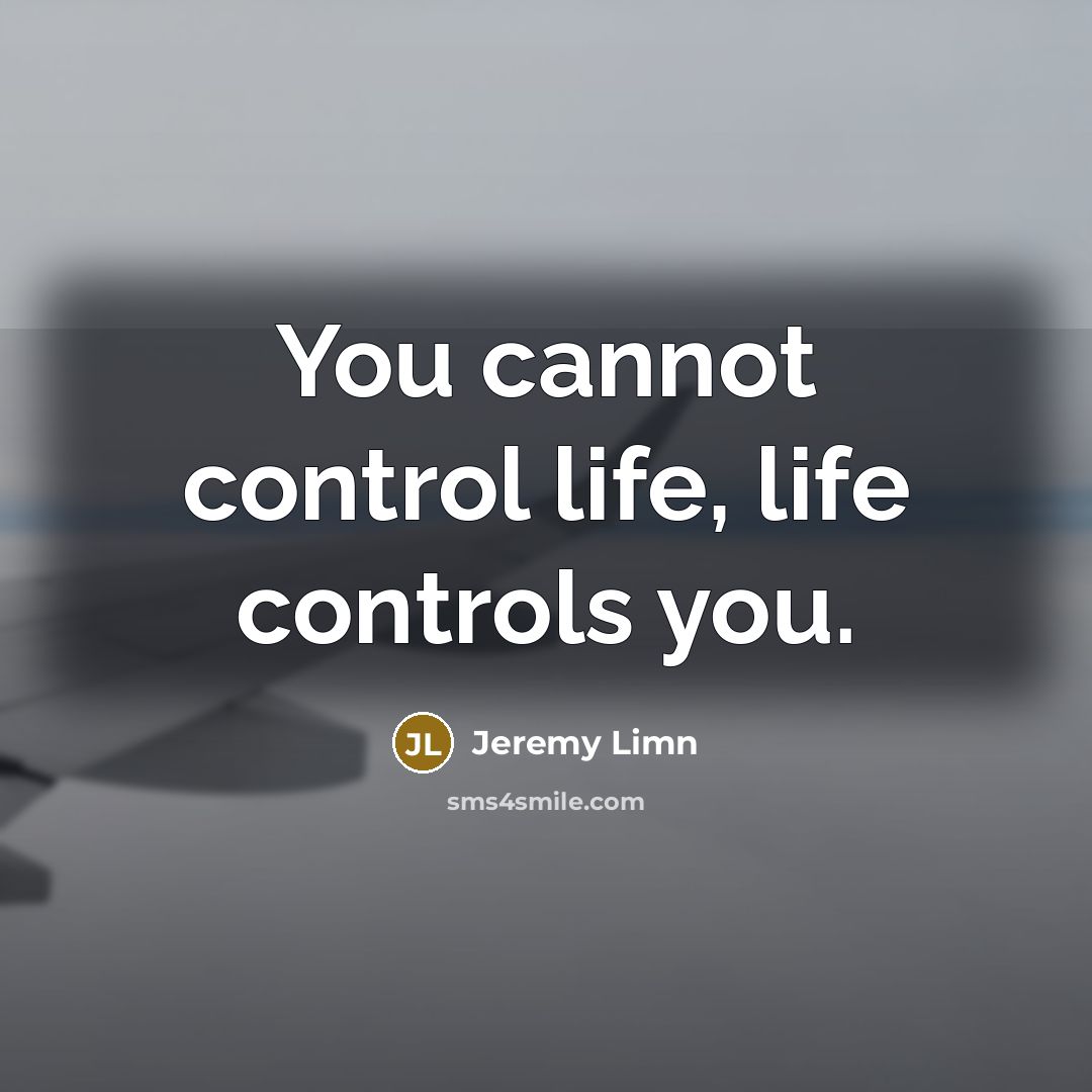 “You cannot control life, life controls you.” quote by Jeremy Limn