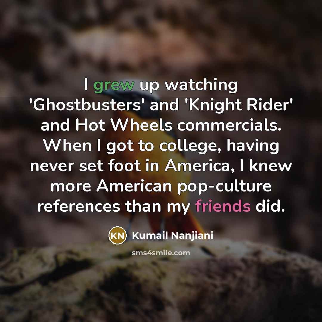 “I grew up watching 'Ghostbusters' and 'Knight Rider' and Hot Wheels commercials. When I got to college, having never set foot in America, I knew more American pop-culture references than my friends did.” quote by Kumail Nanjiani