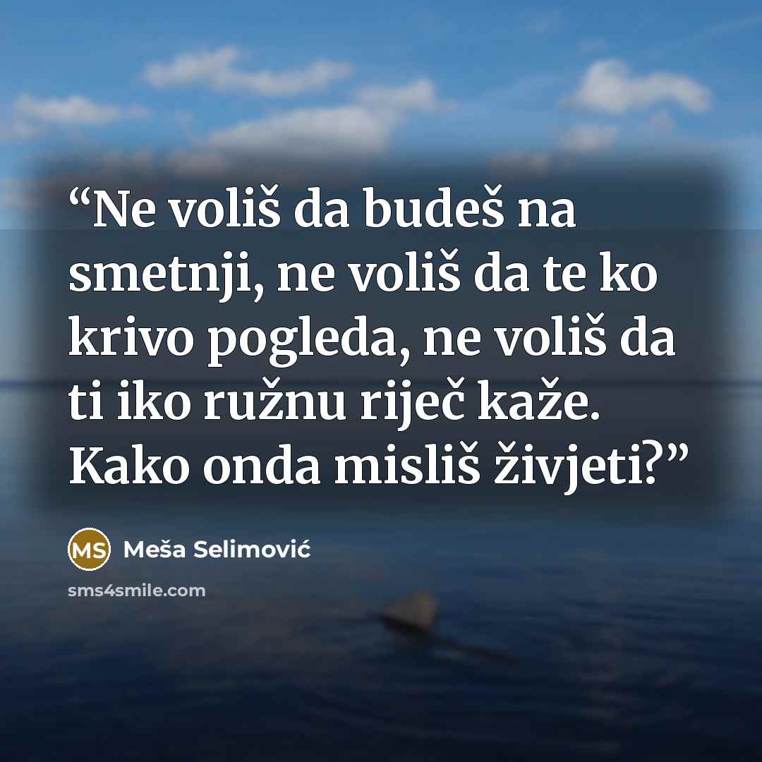“Ne voliš da budeš na smetnji, ne voliš da te ko krivo pogleda, ne voliš da ti iko ružnu riječ kaže. Kako onda misliš živjeti?” quote by Meša Selimović
