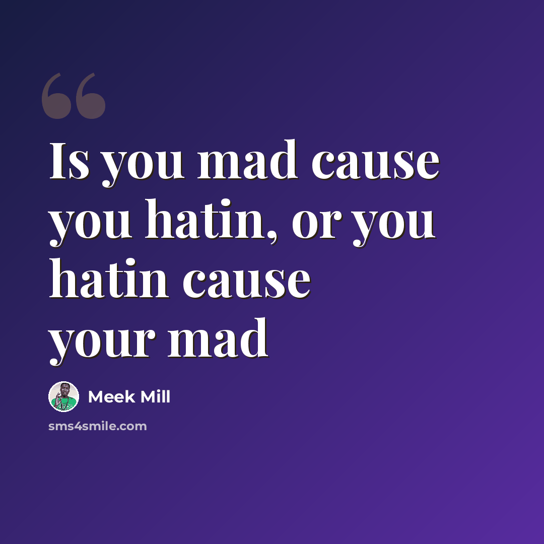 “Is you mad cause you hatin, or you hatin cause your mad” quote by Meek Mill