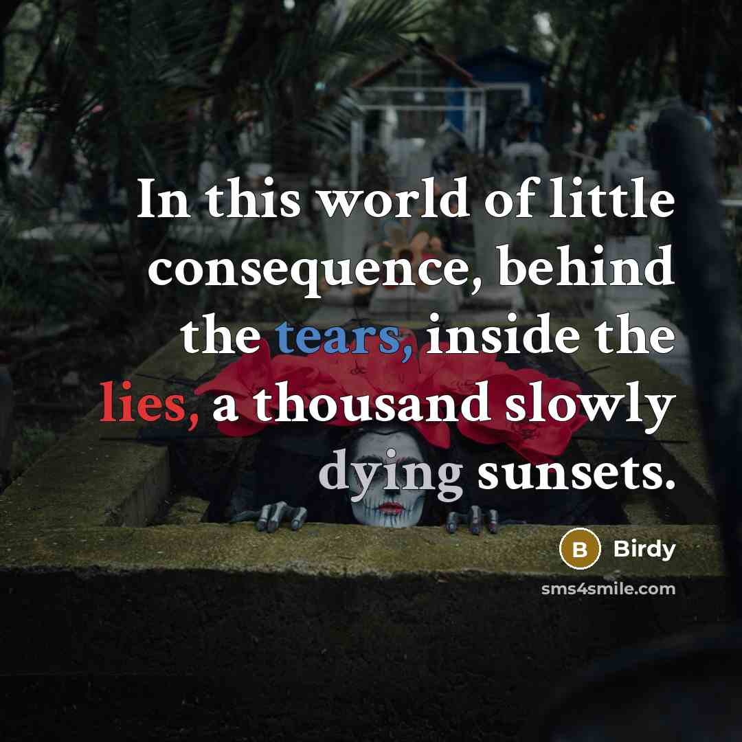 “In this world of little consequence, behind the tears, inside the lies, a thousand slowly dying sunsets.” quote by Birdy