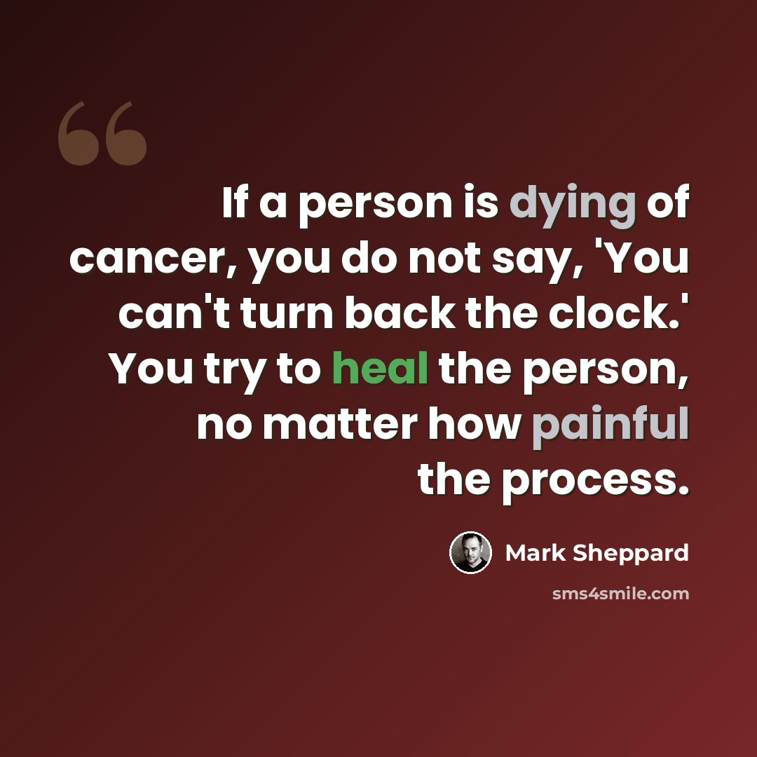 “If a person is dying of cancer, you do not say, 'You can't turn back the clock.' You try to heal the person, no matter how painful the process.” quote by Mark Sheppard