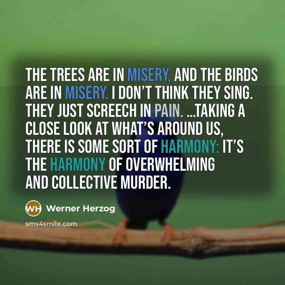 “The trees are in misery, and the birds are in misery. I don’t think they sing. They just screech in pain. …Taking a close look at what’s around us, there is some sort of harmony: it’s the harmony of overwhelming and collective murder.” quote by Werner Herzog