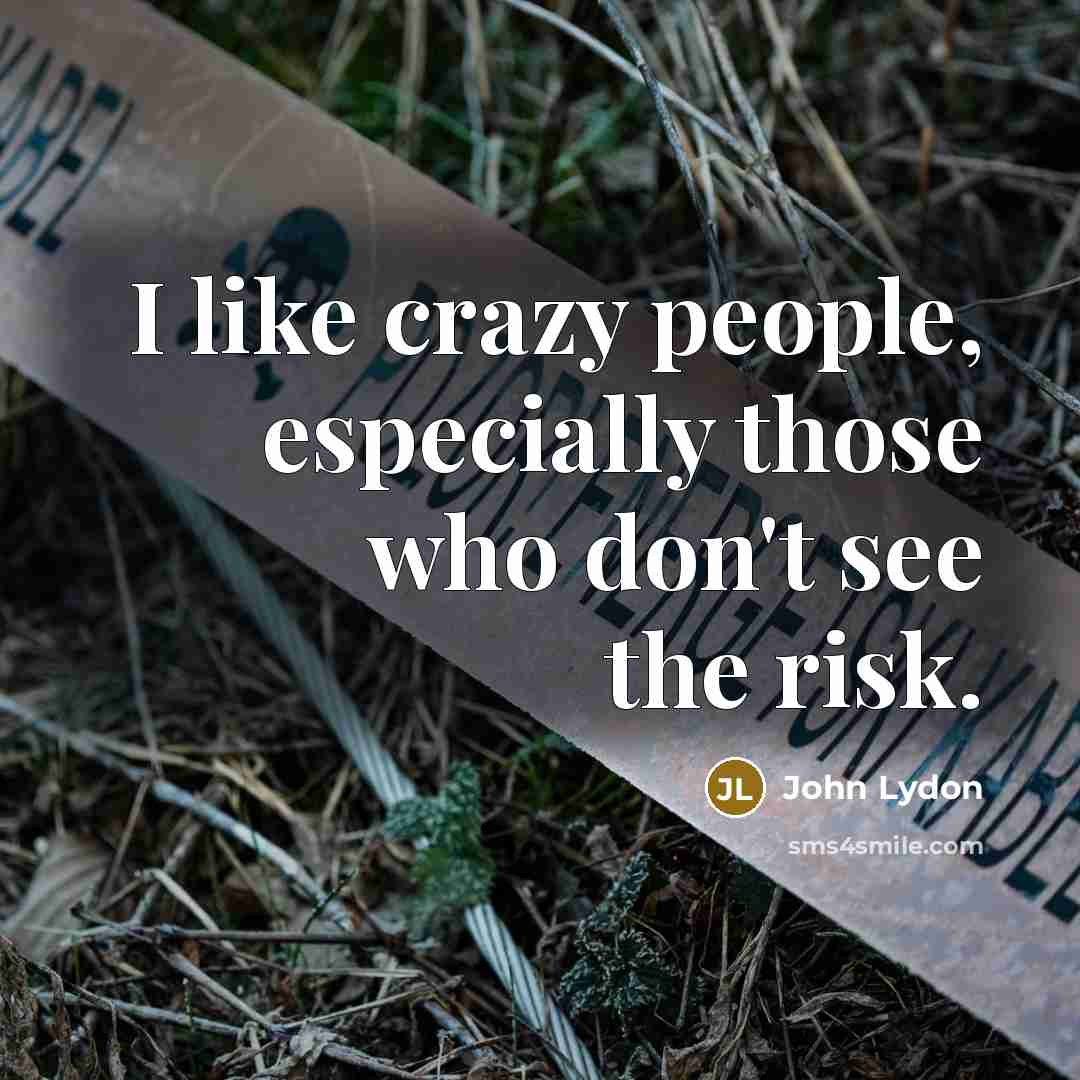 “I like crazy people, especially those who don't see the risk.” quote by John Lydon