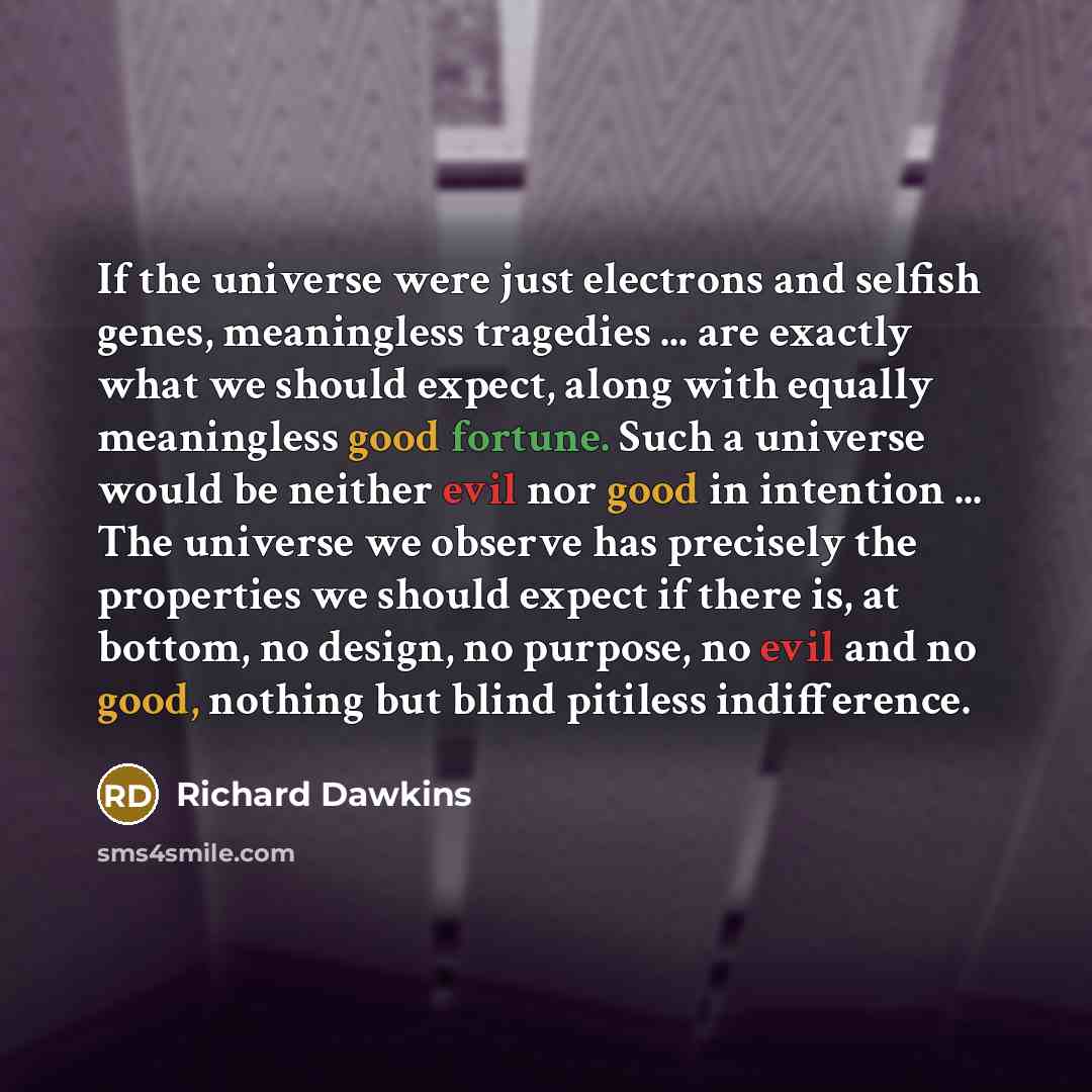 “If the universe were just electrons and selfish genes, meaningless tragedies ... are exactly what we should expect, along with equally meaningless good fortune. Such a universe would be neither evil nor good in intention ... The universe we observe has precisely the properties we should expect if…” quote by Richard Dawkins