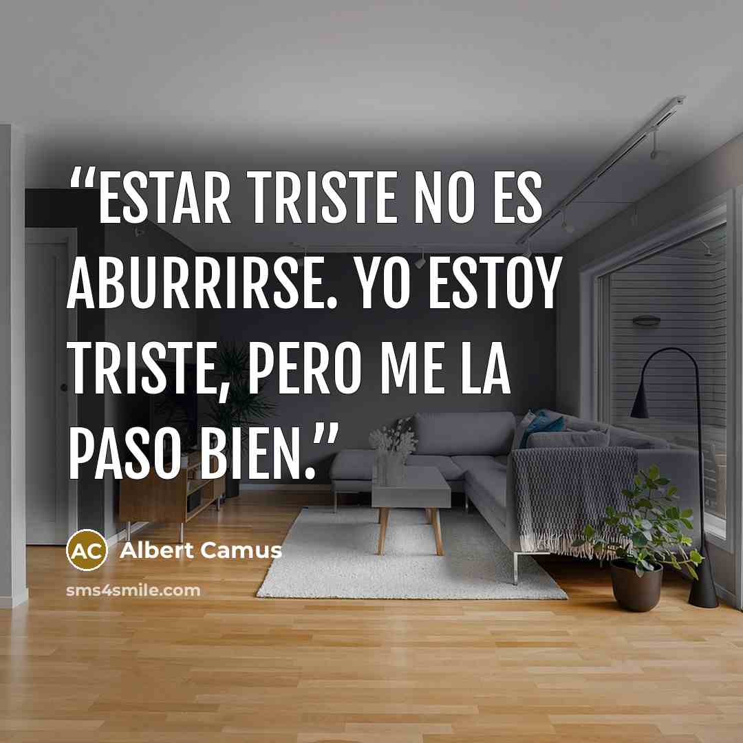 “Estar triste no es aburrirse. Yo estoy triste, pero me la paso bien.” quote by Albert Camus