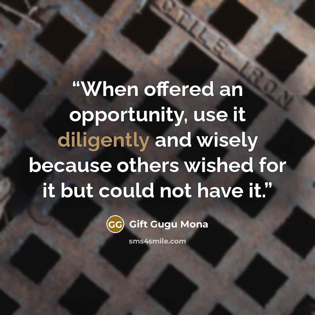 “When offered an opportunity, use it diligently and wisely because others wished for it but could not have it.” quote by Gift Gugu Mona