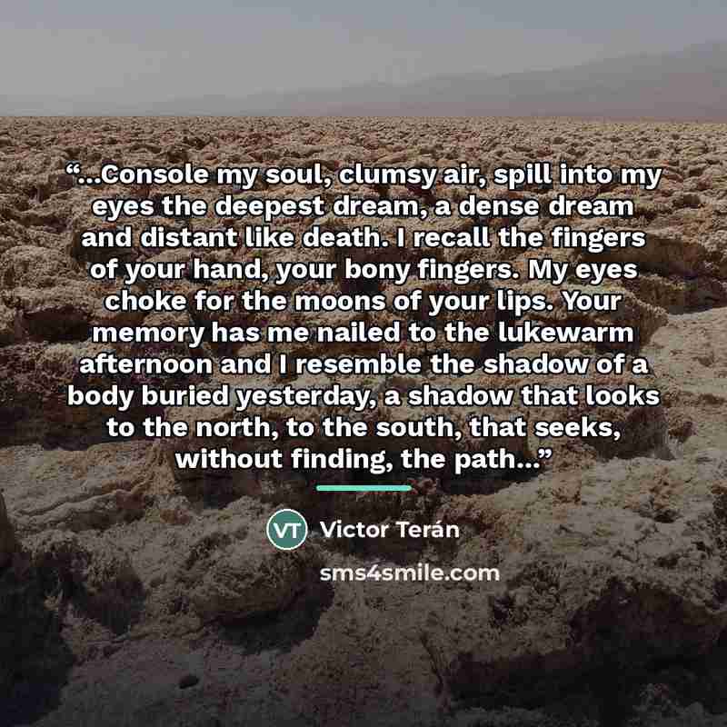 “...Console my soul, clumsy air, spill into my eyes the deepest dream, a dense dream and distant like death. I recall the fingers of your hand, your bony fingers. My eyes choke for the moons of your lips. Your memory has me nailed to the lukewarm afternoon and I resemble the shadow of a body buried…” quote by Victor Terán
