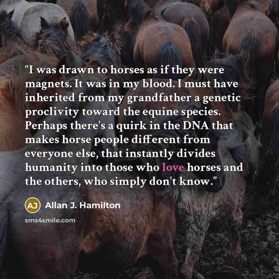“I was drawn to horses as if they were magnets. It was in my blood. I must have inherited from my grandfather a genetic proclivity toward the equine species. Perhaps there's a quirk in the DNA that makes horse people different from everyone else, that instantly divides humanity into those who love…” quote by Allan J. Hamilton