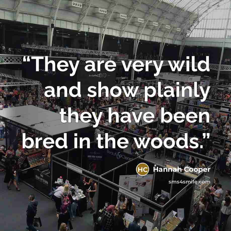 “They are very wild and show plainly they have been bred in the woods.” quote by Hannah Cooper