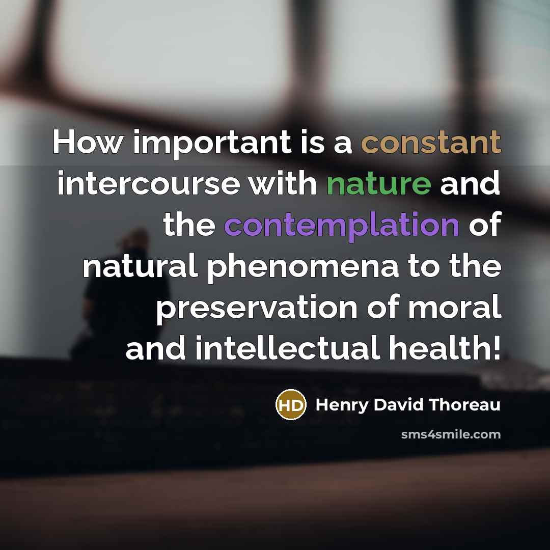 “How important is a constant intercourse with nature and the contemplation of natural phenomena to the preservation of moral and intellectual health!” quote by Henry David Thoreau