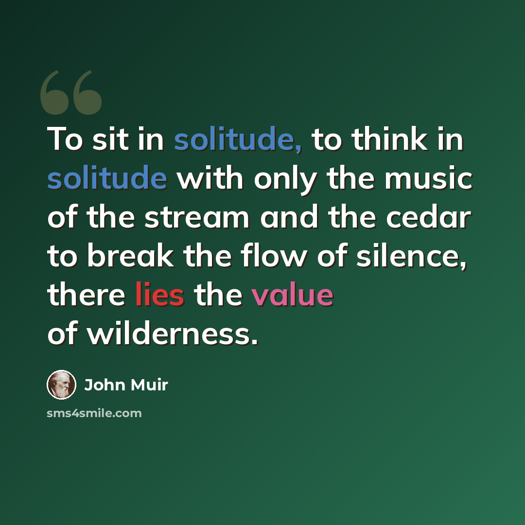 “To sit in solitude, to think in solitude with only the music of the stream and the cedar to break the flow of silence, there lies the value of wilderness.” quote by John Muir