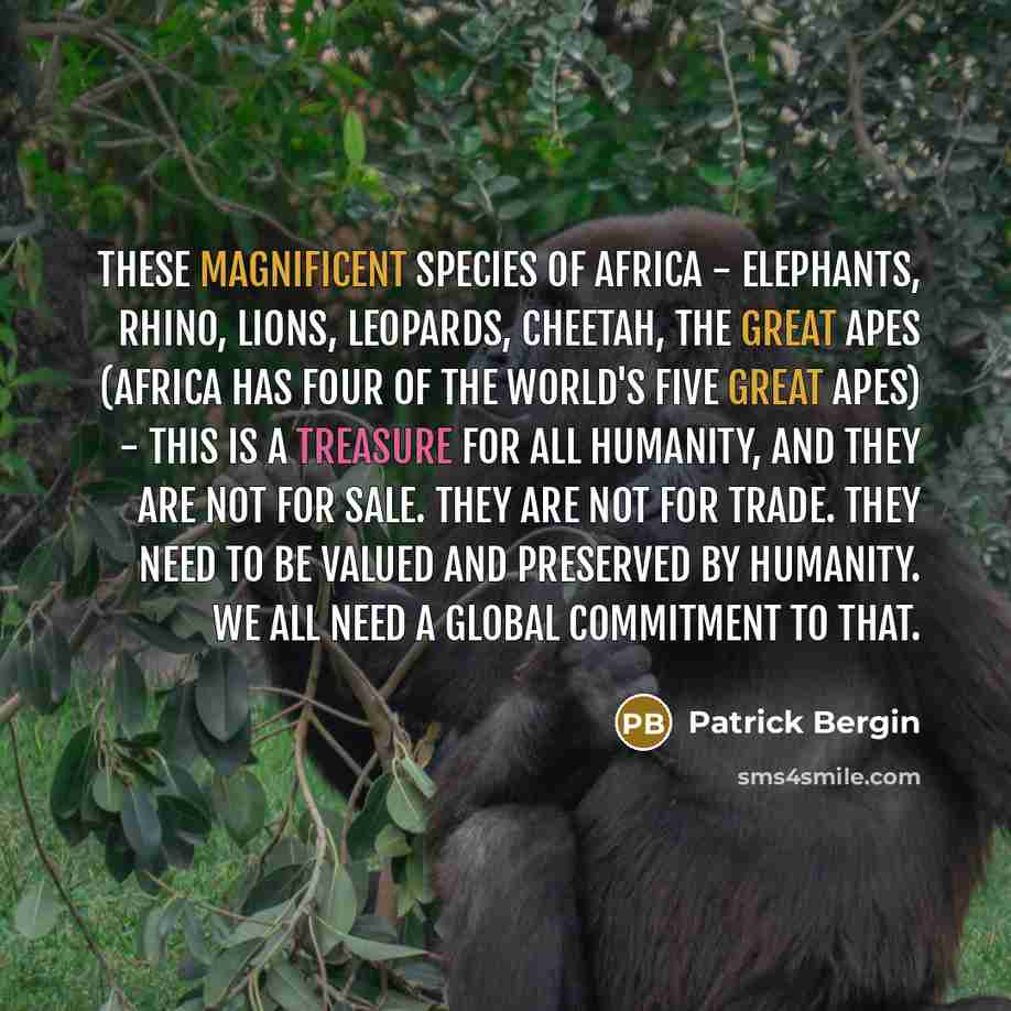“These magnificent species of Africa - elephants, rhino, lions, leopards, cheetah, the great apes (Africa has four of the world's five great apes) - this is a treasure for all humanity, and they are not for sale. They are not for trade. They need to be valued and preserved by humanity. We all need…” quote by Patrick Bergin