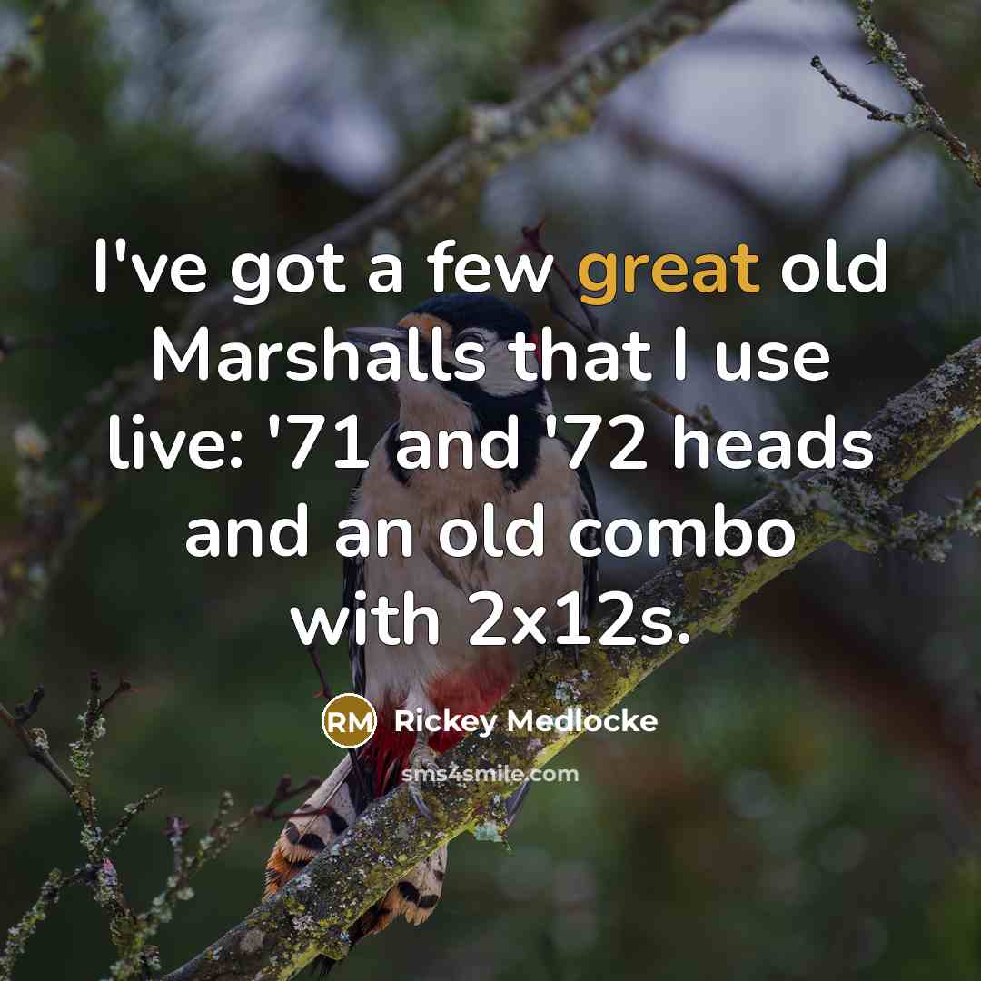 “I've got a few great old Marshalls that I use live: '71 and '72 heads and an old combo with 2x12s.” quote by Rickey Medlocke