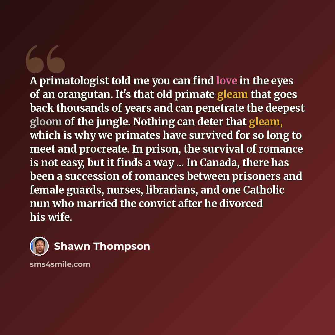 “A primatologist told me you can find love in the eyes of an orangutan. It's that old primate gleam that goes back thousands of years and can penetrate the deepest gloom of the jungle. Nothing can deter that gleam, which is why we primates have survived for so long to meet and procreate. In prison…” quote by Shawn Thompson