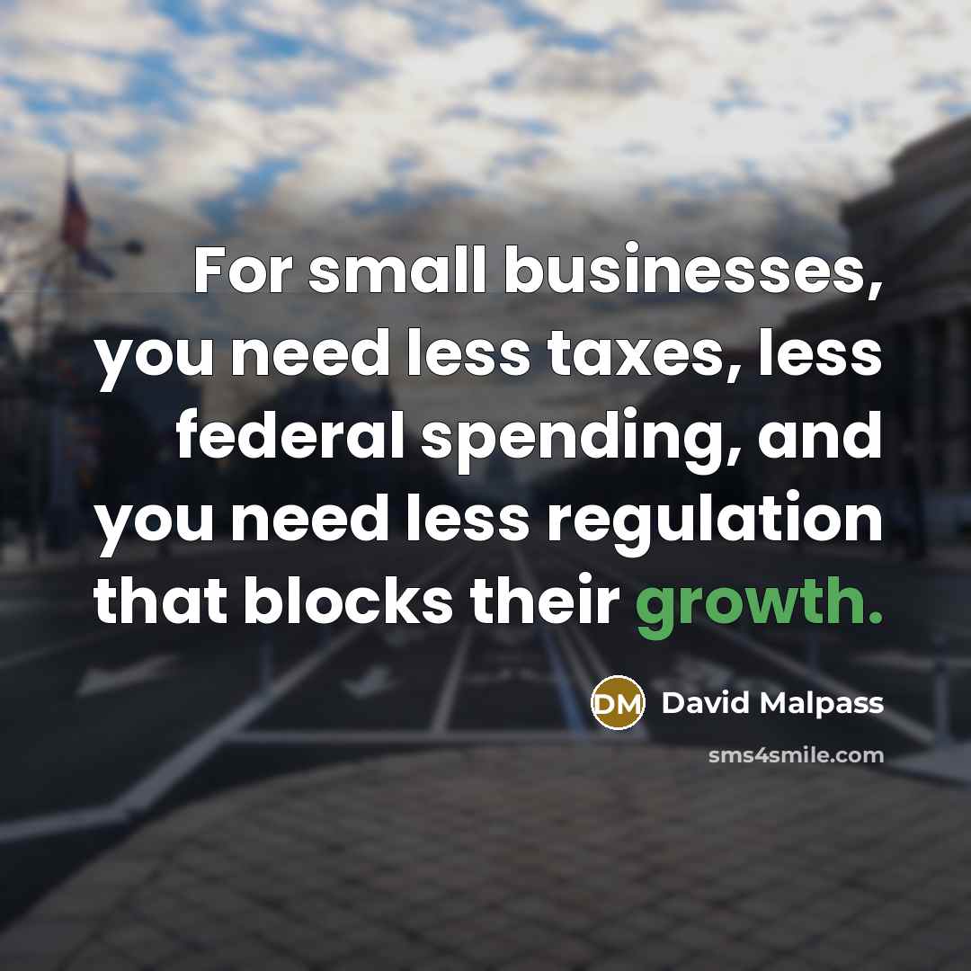 “For small businesses, you need less taxes, less federal spending, and you need less regulation that blocks their growth.” quote by David Malpass