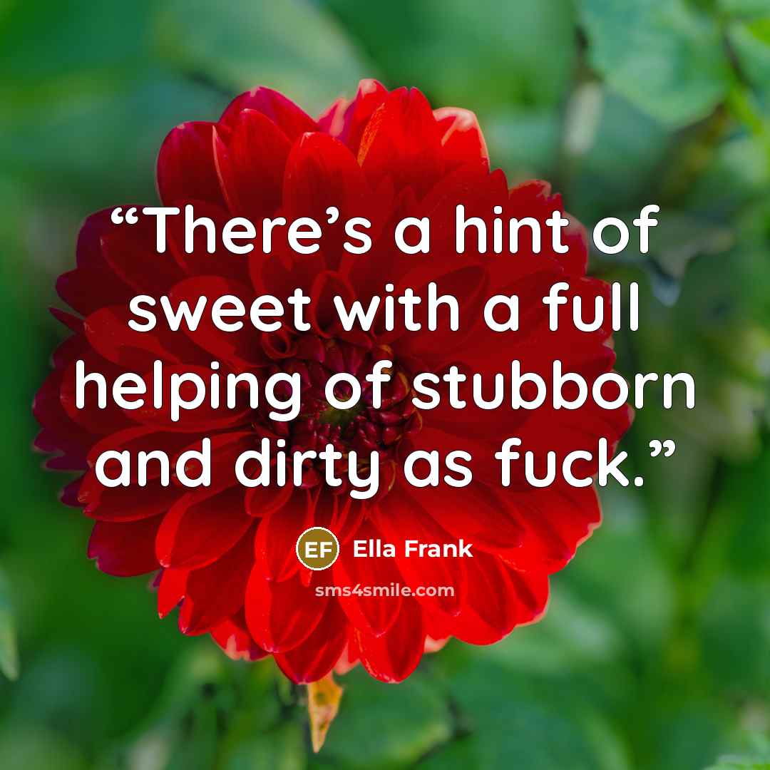 “There’s a hint of sweet with a full helping of stubborn and dirty as fuck.” quote by Ella Frank