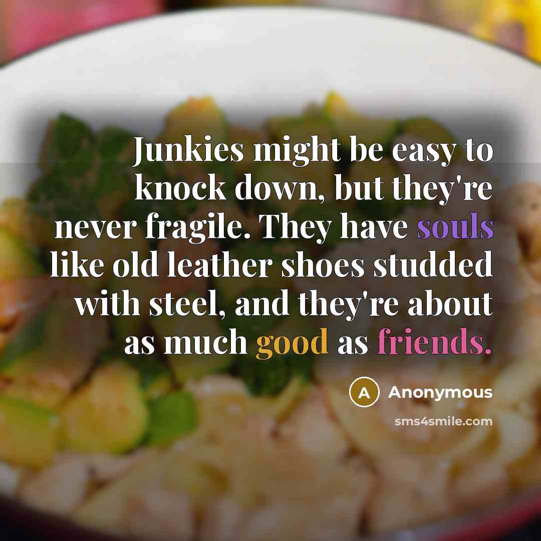 “Junkies might be easy to knock down, but they're never fragile. They have souls like old leather shoes studded with steel, and they're about as much good as friends.” quote by Anonymous