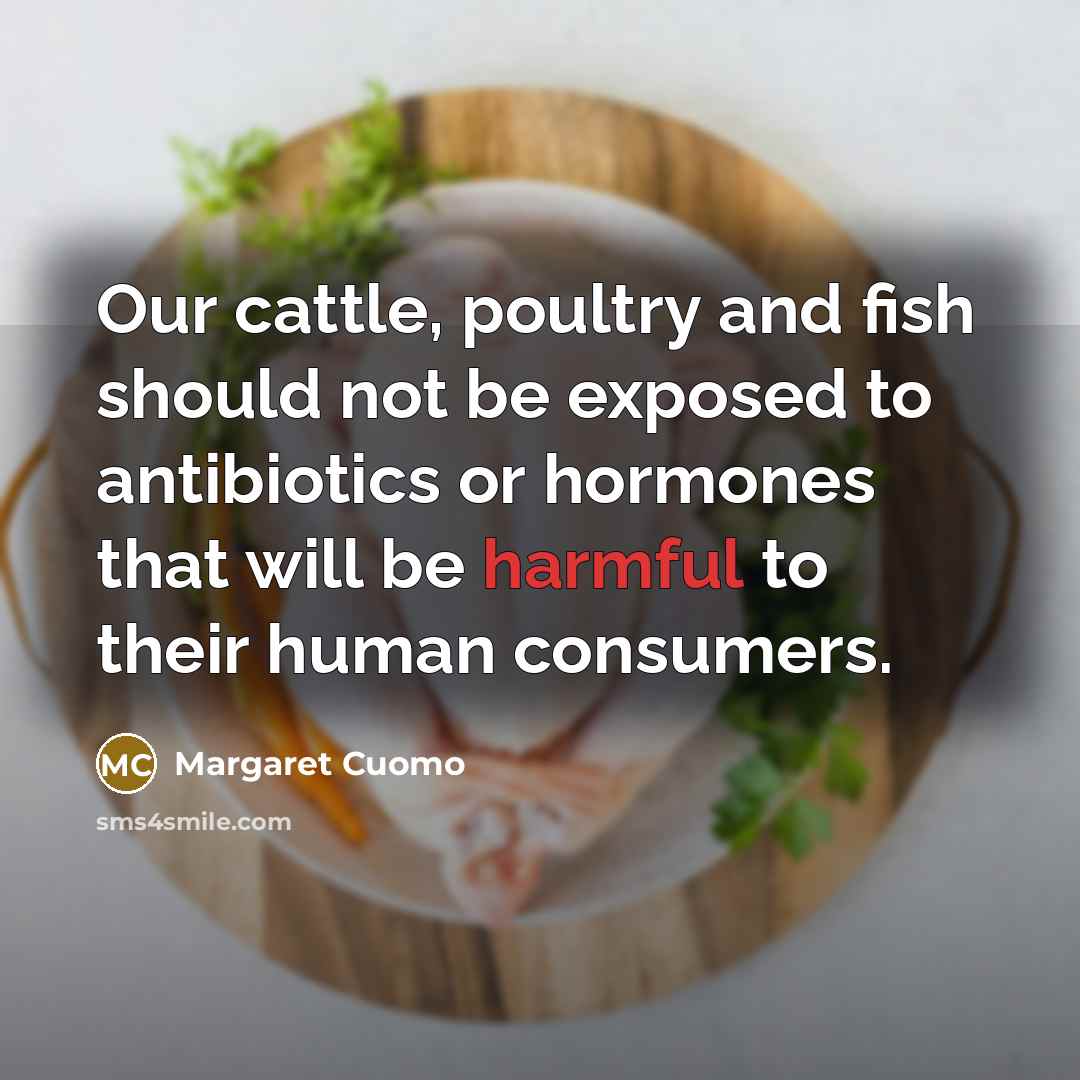 “Our cattle, poultry and fish should not be exposed to antibiotics or hormones that will be harmful to their human consumers.” quote by Margaret Cuomo