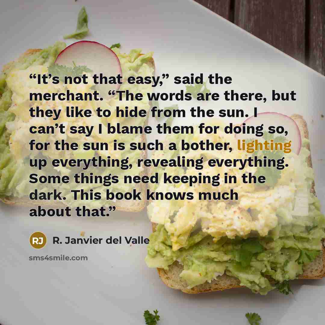 “It’s not that easy,” said the merchant. “The words are there, but they like to hide from the sun. I can’t say I blame them for doing so, for the sun is such a bother, lighting up everything, revealing everything. Some things need keeping in the dark. This book knows much about that.” quote by R. Janvier del Valle