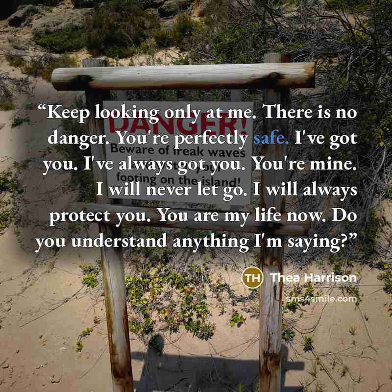 “Keep looking only at me. There is no danger. You're perfectly safe. I've got you. I've always got you. You're mine. I will never let go. I will always protect you. You are my life now. Do you understand anything I'm saying?” quote by Thea Harrison