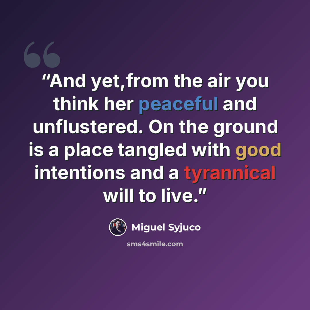 “And yet,from the air you think her peaceful and unflustered. On the ground is a place tangled with good intentions and a tyrannical will to live.” quote by Miguel Syjuco