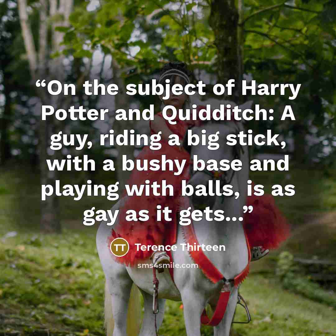 “On the subject of Harry Potter and Quidditch: A guy, riding a big stick, with a bushy base and playing with balls, is as gay as it gets...” quote by Terence Thirteen