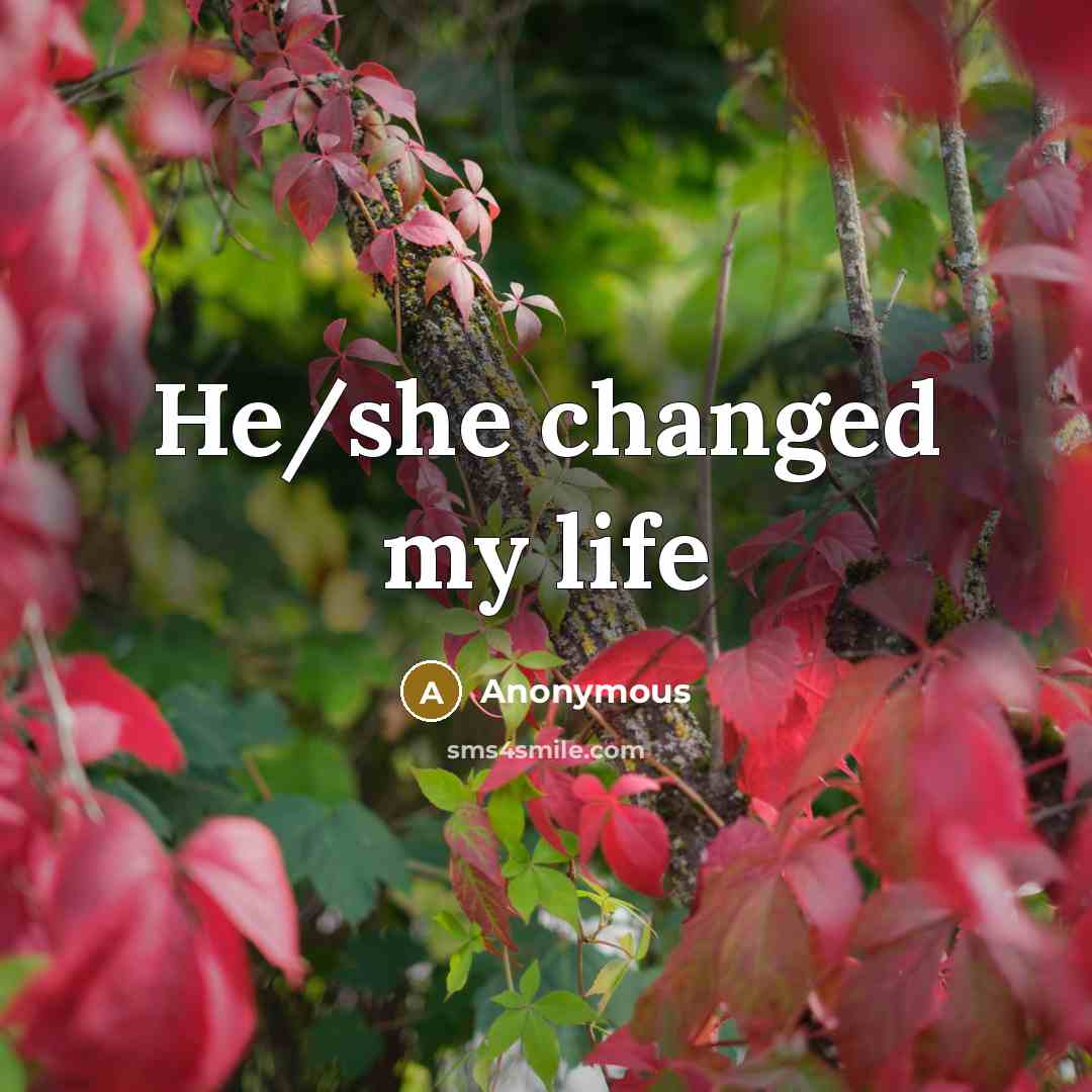“He/she changed my life” quote by Anonymous