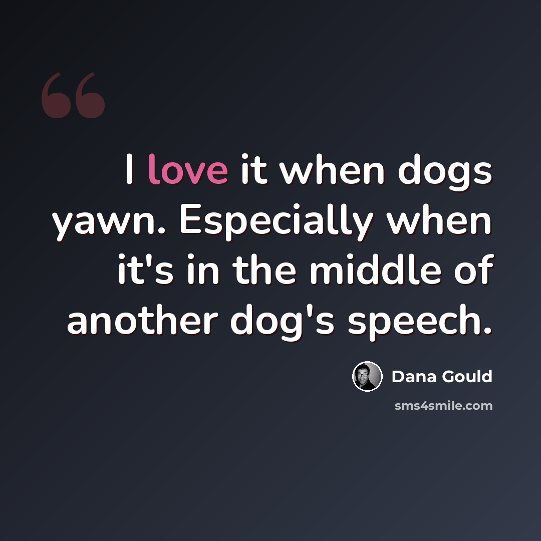 “I love it when dogs yawn. Especially when it's in the middle of another dog's speech.” quote by Dana Gould