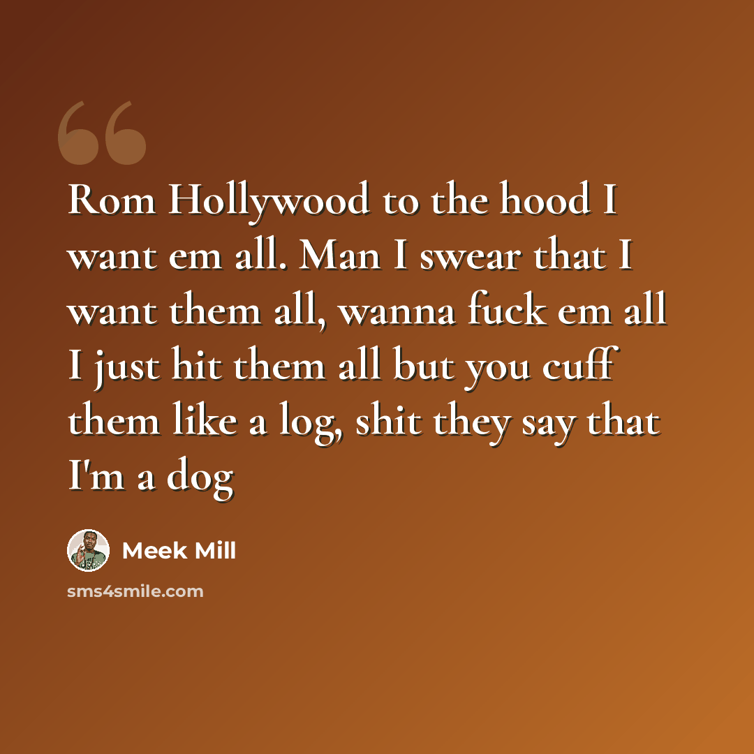 “Rom Hollywood to the hood I want em all. Man I swear that I want them all, wanna fuck em all I just hit them all but you cuff them like a log, shit they say that I'm a dog” quote by Meek Mill