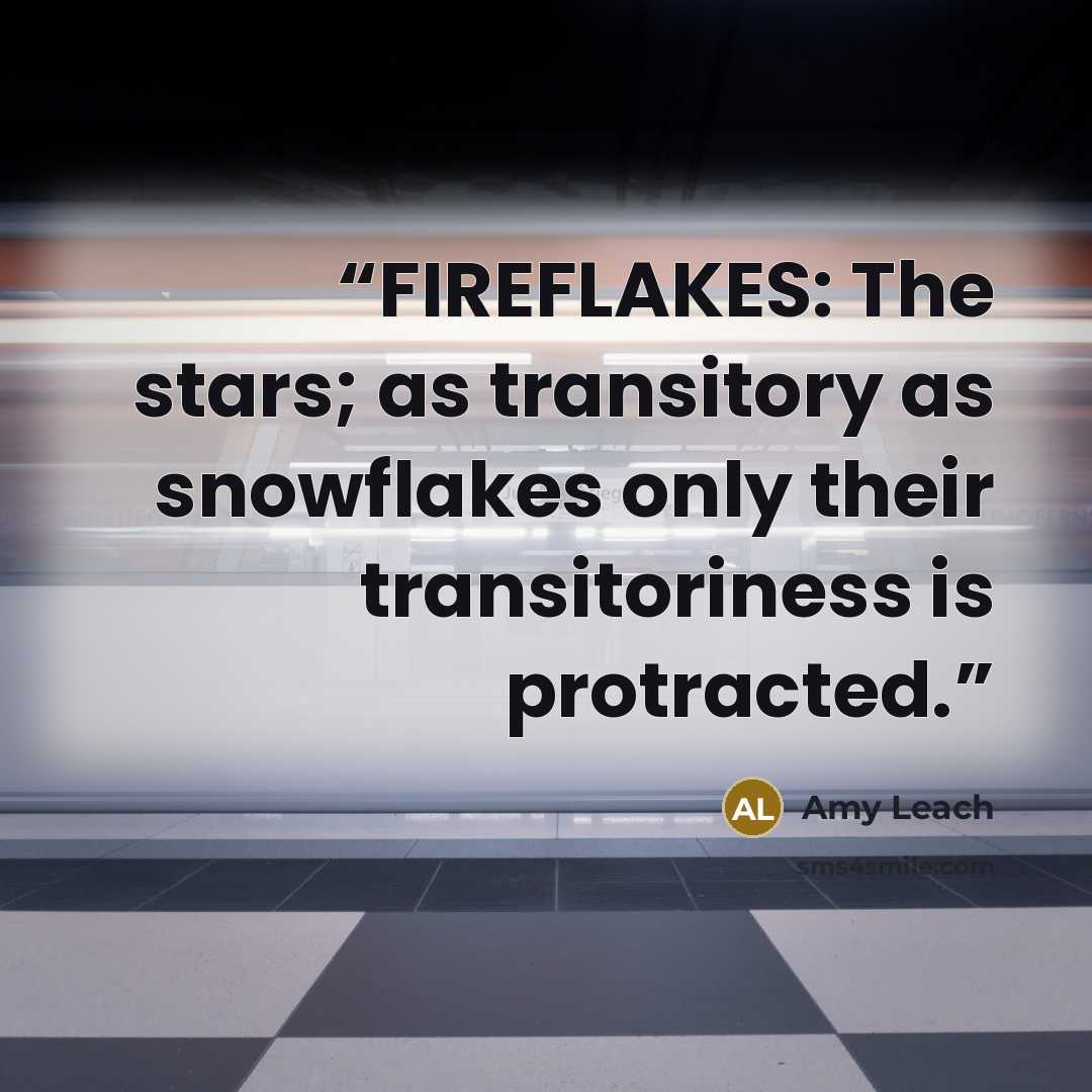 “FIREFLAKES: The stars; as transitory as snowflakes only their transitoriness is protracted.” quote by Amy Leach