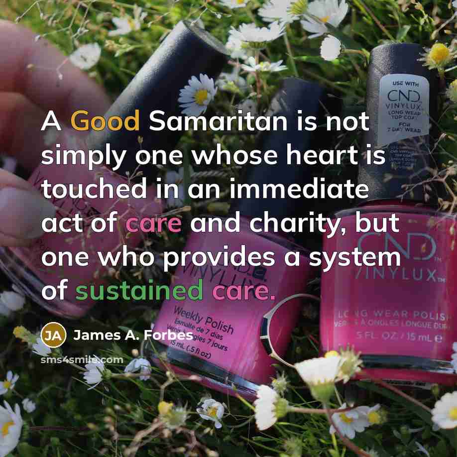 “A Good Samaritan is not simply one whose heart is touched in an immediate act of care and charity, but one who provides a system of sustained care.” quote by James A. Forbes
