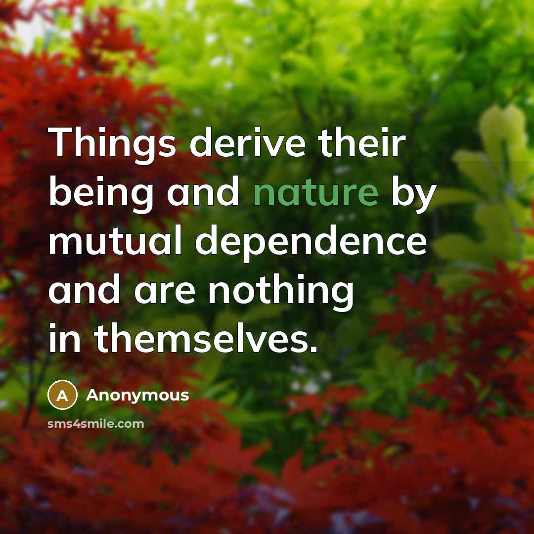 “Things derive their being and nature by mutual dependence and are nothing in themselves.” quote by Anonymous