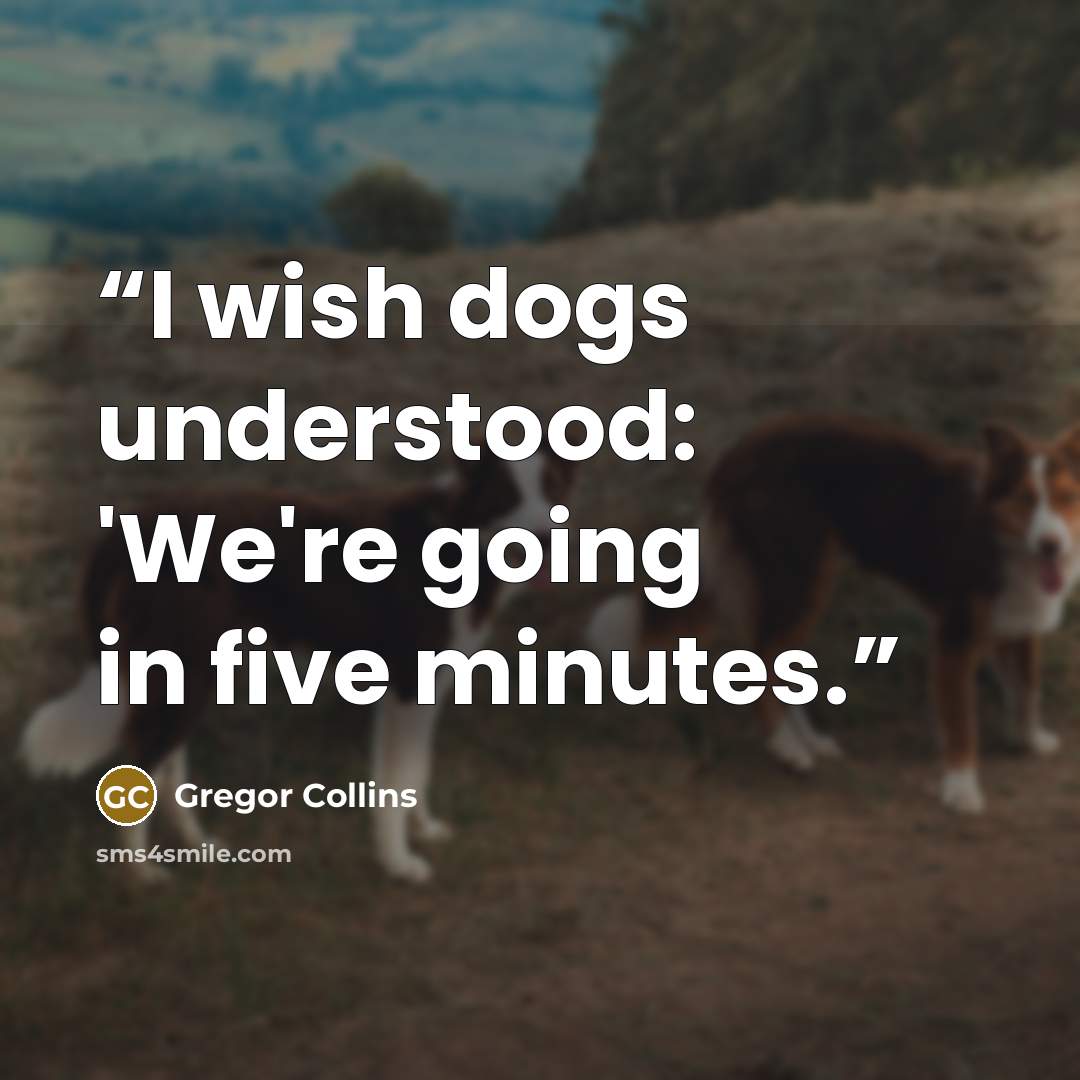 “I wish dogs understood: 'We're going in five minutes.” quote by Gregor Collins