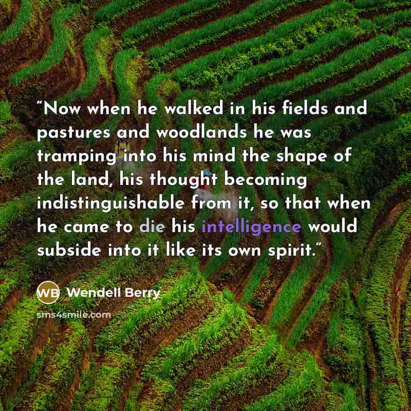 “Now when he walked in his fields and pastures and woodlands he was tramping into his mind the shape of the land, his thought becoming indistinguishable from it, so that when he came to die his intelligence would subside into it like its own spirit.” quote by Wendell Berry
