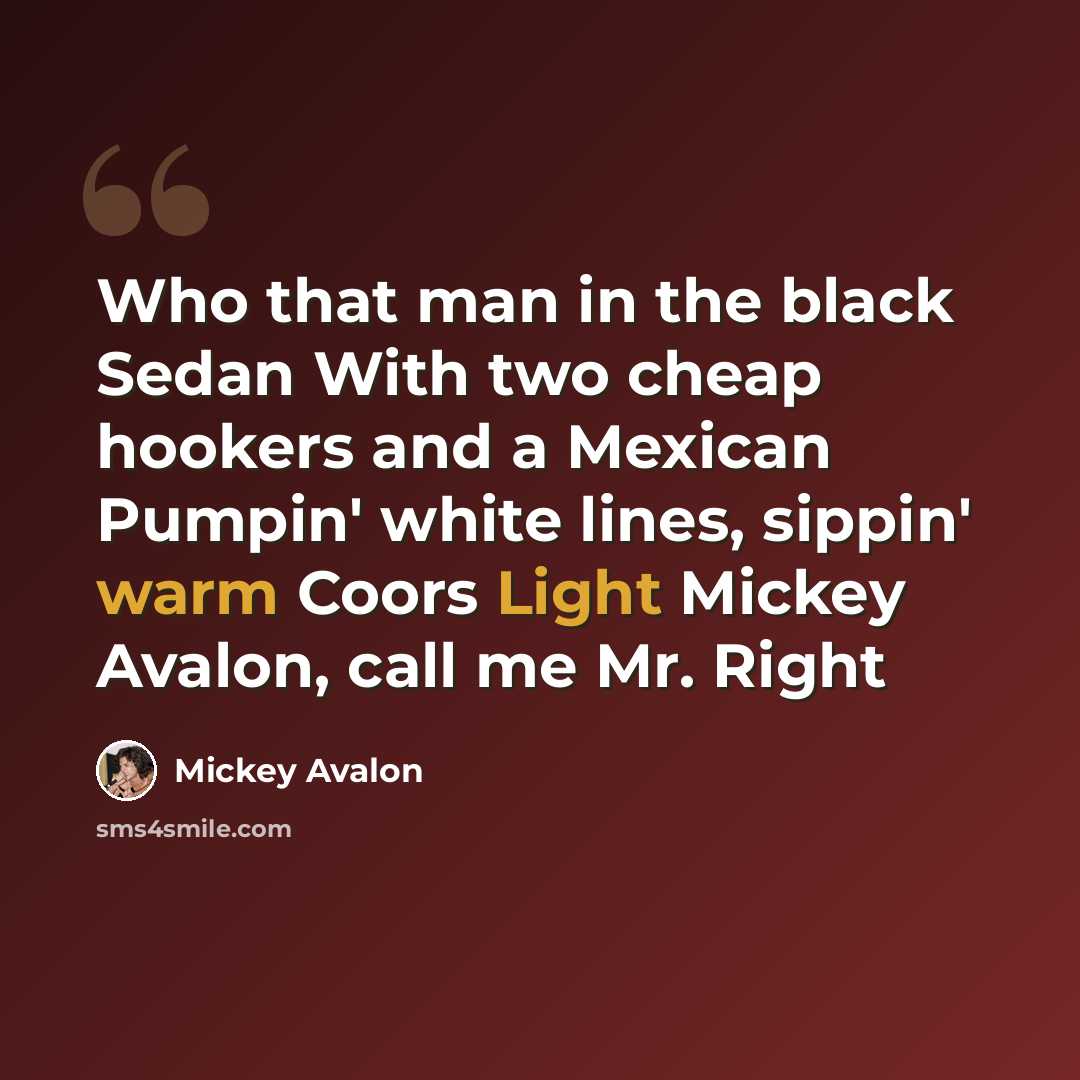 “Who that man in the black Sedan With two cheap hookers and a Mexican Pumpin' white lines, sippin' warm Coors Light Mickey Avalon, call me Mr. Right” quote by Mickey Avalon